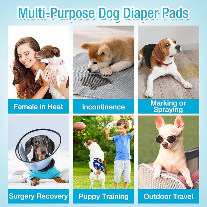 Pet Soft Dog Diaper Liners - Disposable Dog Diaper Booster Pads for Male & Female Dogs fit Most Dog Wraps and Belly Bands Up-Graded (Blue, S-100ct)
