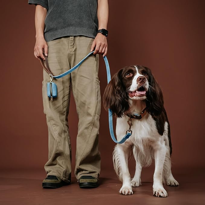 Didog Classic Dog Poop Bag Holder, Easy-Pull and Elegant PU Leather Pet Waste Bag Dispenser for Leash with Carabiner Clip, Includes 1 Roll Dog Waste Bag for Daily Walking,Denim Blue