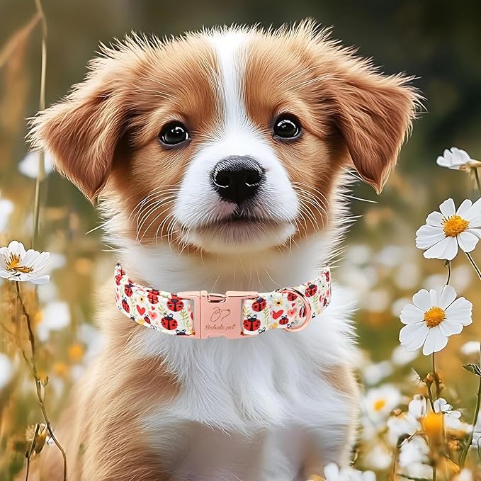 Cute Dog Collar for Medium Dogs - Red Ladybug & Blooms Dog Collars, Adjustable Heavy Duty Pet Collar for Dog Moms & Kids with Metal Buckle M