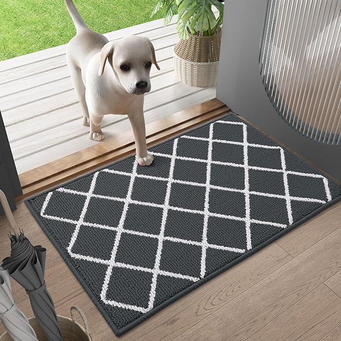 Finchitty Indoor Door Mat, Dirt Resistant and Absorbent, Low-Profile, Non-Slip, Washable Inside Floor Mats for Front Door, Back, and Entrance, 59" x 35", Charcoal
