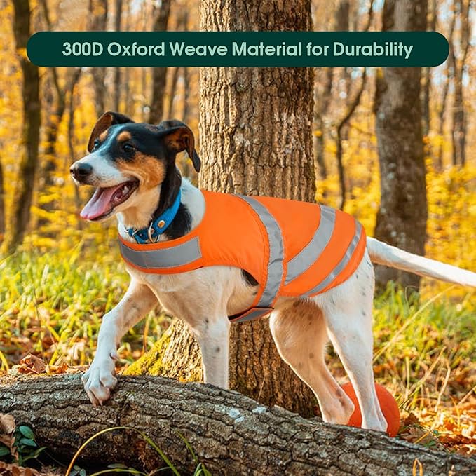 Kuoser Reflective Dog Vest, High Visibility Safety Vest for Medium to Large Dogs, Lightweight Pet Reflective Vests for Hunting Outdoor Activities Walking at Night, Blaze Orange XL