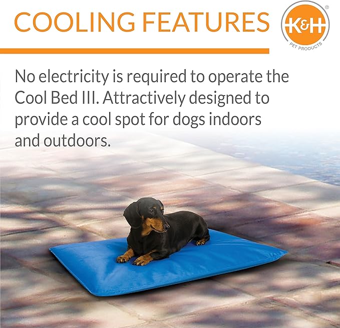 K&H Pet Products Cool Bed III Dog Cooling Mat, Indoor Outdoor Cooling Beds for Small Dogs, Chilling Pet Pad for in Home, Outdoor Houses, Crates, Yards, Porches - Small 24 X 17in Chill Blue