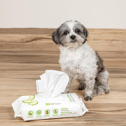 Best Pet Supplies Pet Wipes for Dogs - Dog Wipes Cleaning Deodorizing, for Coats, Ears, Paws – Refreshing, Cucumber 100 Count