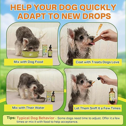Puyrzoe Natural Yeast Infection Treatment for Dogs, Itchy Ears, Skin, Paws & Allergy Relief, Yeast Treatment for Dogs, Supports Gut & Immune Health, Reduces Itching, Irritation & Inflammation, 60ml