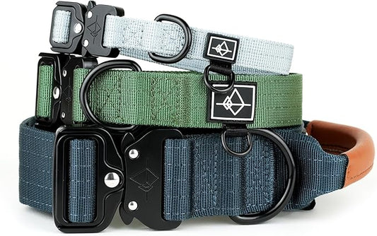 Made to ROAM Premium Explorer Control Collar - Adjustable Heavy Duty Nylon Dog Collar with Quick-Release Metal Buckle and Handle (Florida Seaside, Control Size 5)