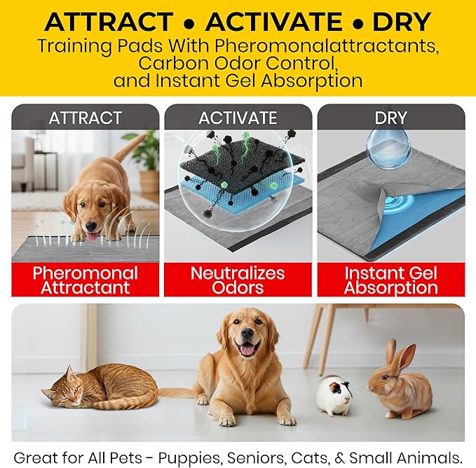 Glad for Pets Extra Large Charcoal Dog Training Pads, Absorbent Leak Proof Pee Pads for Dogs and Puppies, Odor Control Potty Pads with Activated Carbon, 28 x 30 Inches, 50 Count