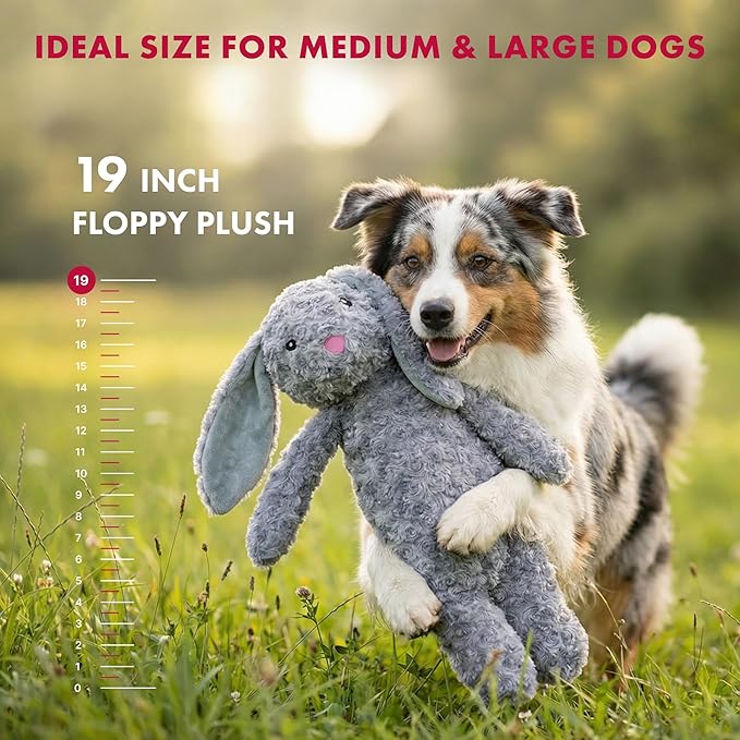 Pet Lou Floppy Rabbit Stuffingless Plush Dog Toy with Squeaker and Crinkle Paper, Dog Chew Toys, 19 Inch Durable Dog Toys for Medium and Large Dogs, Gray