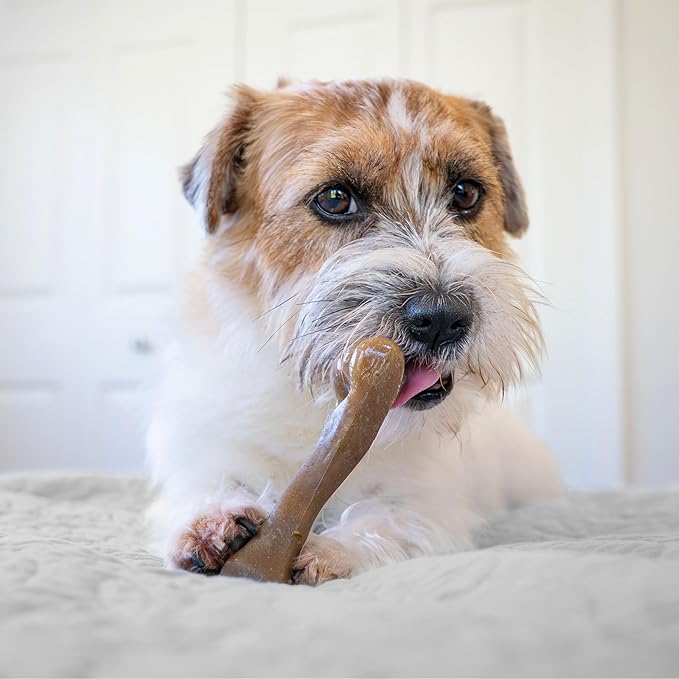 Nylabone Femur Bone Strong Chew Toy for Dogs Made with Real Bison & Venison, Durable Dog Chew Bones for Aggressive Chewers, Long-Lasting Flavor Keeps Dogs Busy, Small Dog Toys - Up to 25 lbs, 1 Count
