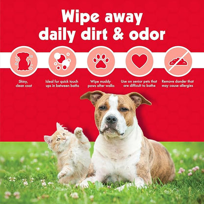 Petkin Pet Wipes for Dogs & Cats - 200 Large Wipes - Removes Dirt & Odor - Cleans Ears, Face, Butt, Eye Area - Convenient for Home or Travel - 2 Packs