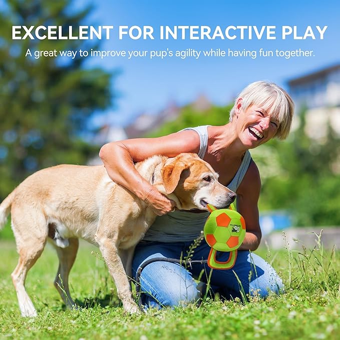 ALL FOR PAWS Dog Ball with Handles, Dog Toy with Squeaker, Interactive Tug of War Ball Toy for Small and Medium Dogs, 12.6 x 5.9 x 5.9 Inch