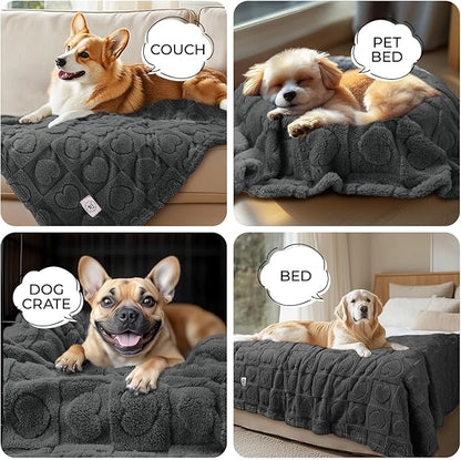 Luciphia Small Dog Blanket Washable Pet Bed Cover Soft Fluffy Puppy Blanket with Premium Fleece 300GSM Cozy Calming Cat Blankets for Indoor Cats Grey 57x40 inch