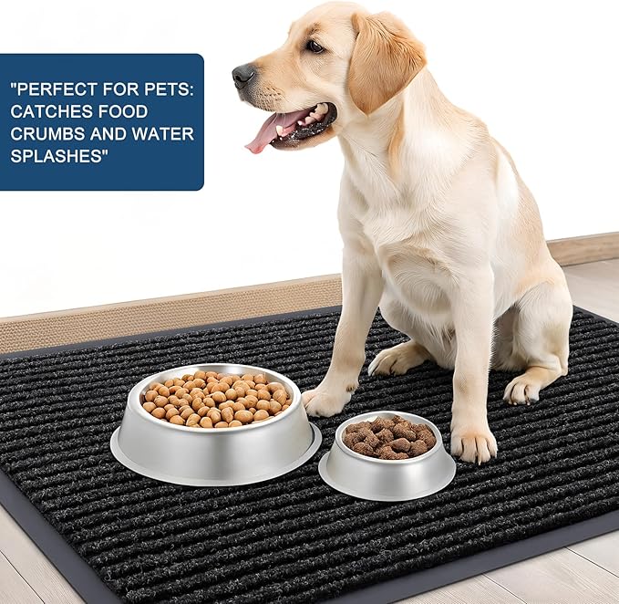 OLANLY Front Door Mat Indoor Outdoor Entrance, Waterproof Heavy Duty Doormat, Fade Resistant, Low Profile, Easy Clean Patio Porch Welcome Floor Mats for Entry, 33x21, Off-Black