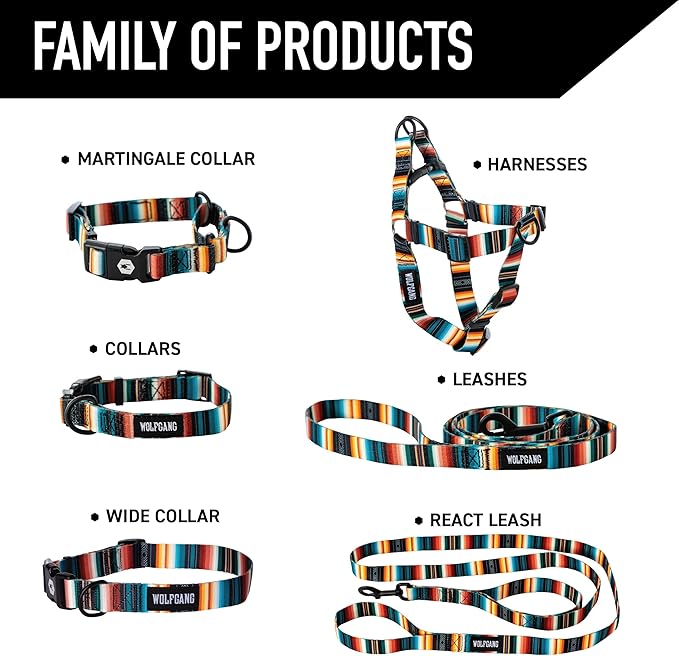 Wolfgang Heavy Duty, Adjustable Dog Collar with Quick Release Nylon Buckle for Walking & Training, LostArt Print, Large