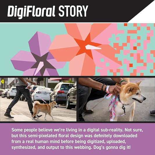 Wolfgang Heavy Duty, Adjustable Dog Collar with Quick Release Nylon Buckle for Walking & Training, DigiFloral Print, Small