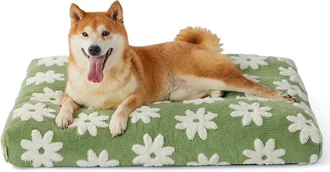 LE SURE Dog Beds Large Sized-Thick Shredded Chopped Foam Pet Bed Indoor as Bed Gift with Removable Cover, Cute Modern Fuzzy Plush & Anti Slip Bottom, Green