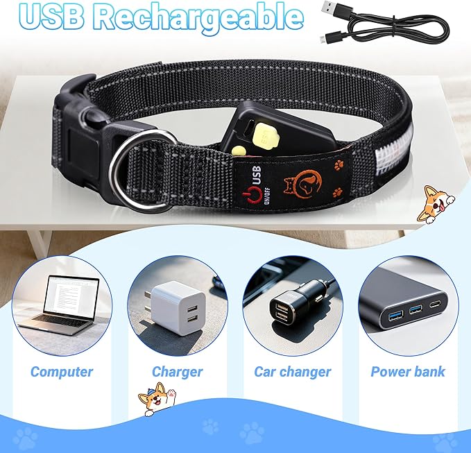 Light Up Dog Collar, USB Rechargeable, Waterproof LED Dog Collar with Remote Control, Adjustable Night Safety Pet LED Collar, Suitable for Small, Medium, and Large Dogs (L)