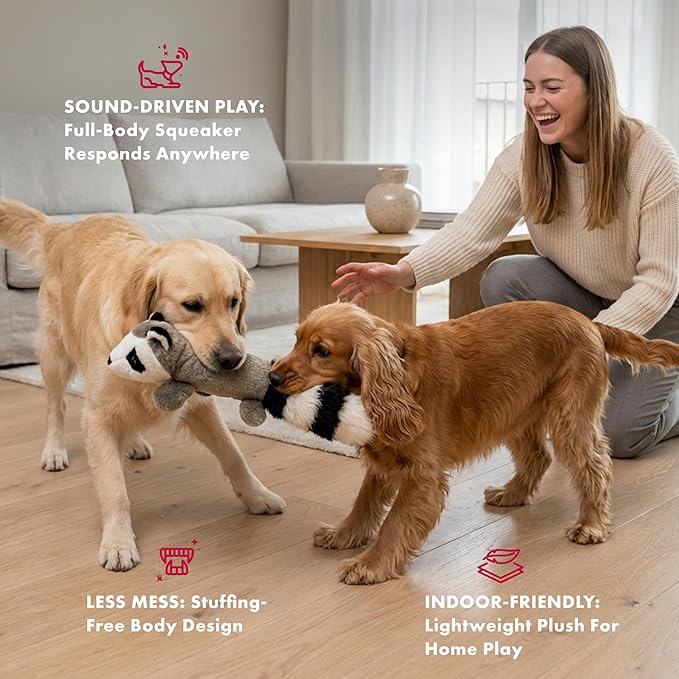 Pet Lou 11 Inch Raccoon Dog Chew Toy, No-Stuffing Plush Dog Toy with Full-Body Squeaker, Durable Interactive Squeaky Toy for Anti-Boredom Play