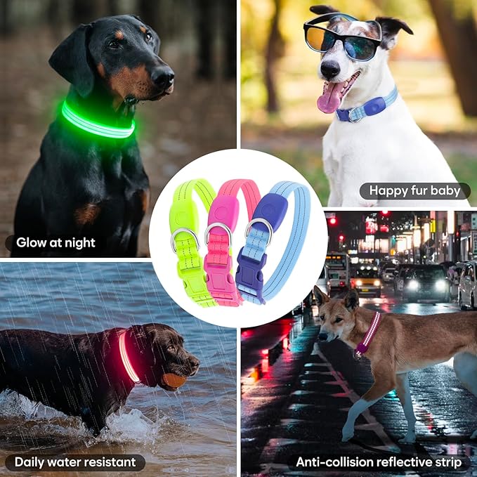Light Up Dog Collar, LED Lighted Reflective Dog Collars for Night USB Rechargeable, Glow Collar for Dogs, Waterproof Adjustable Flashing Dog Collar for Night Safety (Blue, Large)