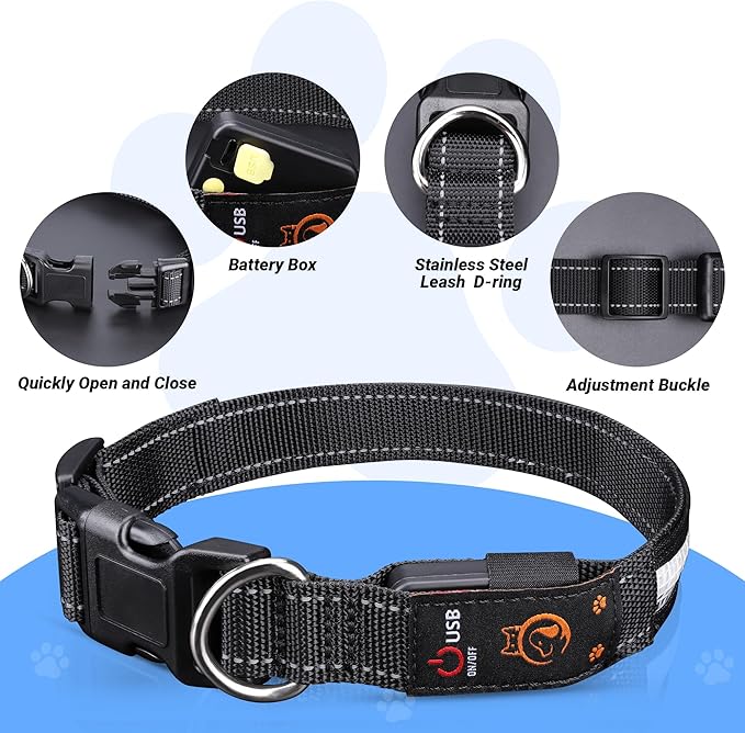 Light Up Dog Collar, USB Rechargeable, Waterproof LED Dog Collar with Remote Control, Adjustable Night Safety Pet LED Collar, Suitable for Small, Medium, and Large Dogs (M)