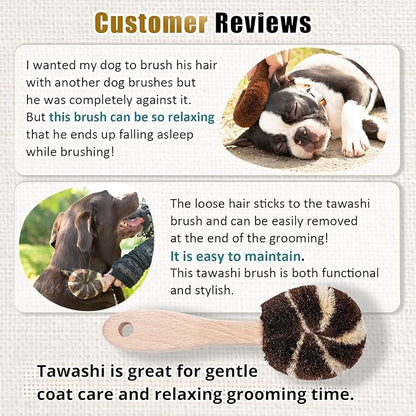 Natural Tawashi Dog Grooming & Massage Brush – Made in Japan, Gentle Palm Fiber Brush for Dogs, Relaxing Skin Stimulation, Low Static, Wooden Handle, Daily Dog Care Tool (Small Dog A)