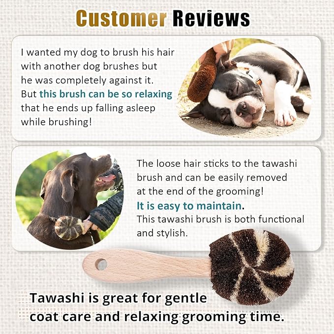 Natural Tawashi Dog Grooming & Massage Brush – Made in Japan, Gentle Palm Fiber Brush for Dogs, Relaxing Skin Stimulation, Low Static, Wooden Handle, Daily Dog Care Tool (Large Dog)