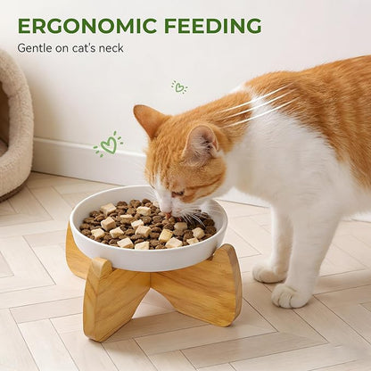 Raised Cat Bowls, 6.3'' Wide Shallow Elevated Cat Food Bowls, Ceramic Anti Vomit Tilted Pet Feeder with Stand, Anti Whisker Fatigue Neck Protective Feeding Dish for Kittens & Seniors (2 Pack)