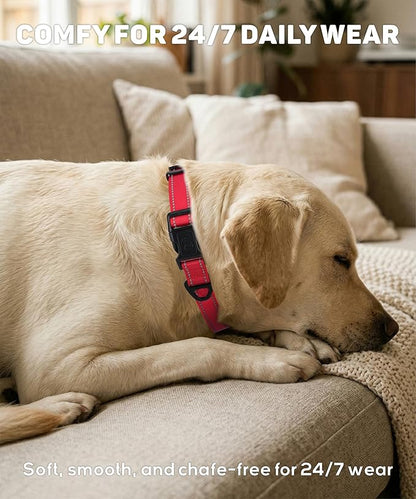 TagME Reflective Nylon Dog Collars, Adjustable Classic Pet Collar with Quick Release Buckle for Large Dogs, Royal Blue, 1.0" Width