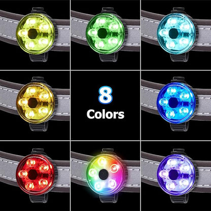 3-Pack Dog Collar Light, Fyorbietail 2025 Upgraded 8 Changing Rechargeable Dog Light with Durable Silicone Band, IPX7 Waterproof Collar Lights for Nightwalking, Hiking
