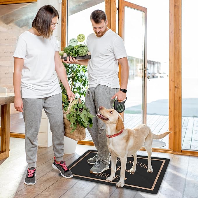 Custom Doormat with Family Name - Personalized Entryway Door Mat Front Door Mat for Outdoor Decor Entrance Mat Housewarming Gift with Anti-Slip Backing