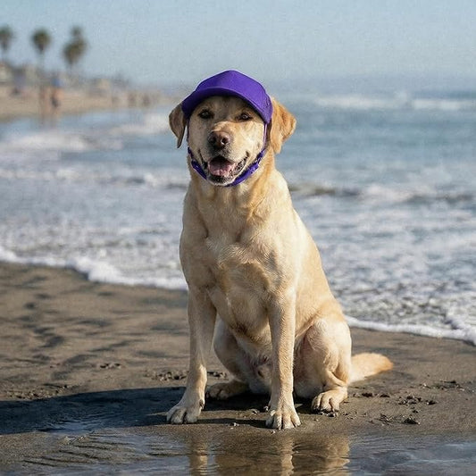 Tuff Pupper Dog Baseball Cap | UV Protection Dog Sun Hat | Breathable Lightweight Design | Secure Adjustable Chin Strap | Quick-Dry Fabric | Reinforced Brim | Small Medium Large Dogs (Purple, XL)
