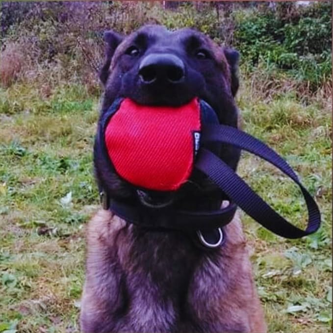 Dingo Gear Dog Tug Toy for Strong Dog, Bite Training, IGP, Fun, French Linen, Big Ball red S02781