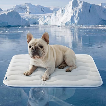 Bedsure Cooling Mat Medium Size Dog - Q-Max>0.4 Thin Breathable Cooling Crate Pad Indoor for Pet with Chill Cool Fiber and Non-Slip Bottom，Portable Washable Kennel Mat in Outdoor Summer, 29x21, Grey