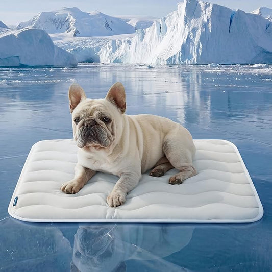 Bedsure Cooling Mat Medium Size Dog - Q-Max>0.4 Thin Breathable Cooling Crate Pad Indoor for Pet with Chill Cool Fiber and Non-Slip Bottom，Portable Washable Kennel Mat in Outdoor Summer, 29x21, Grey