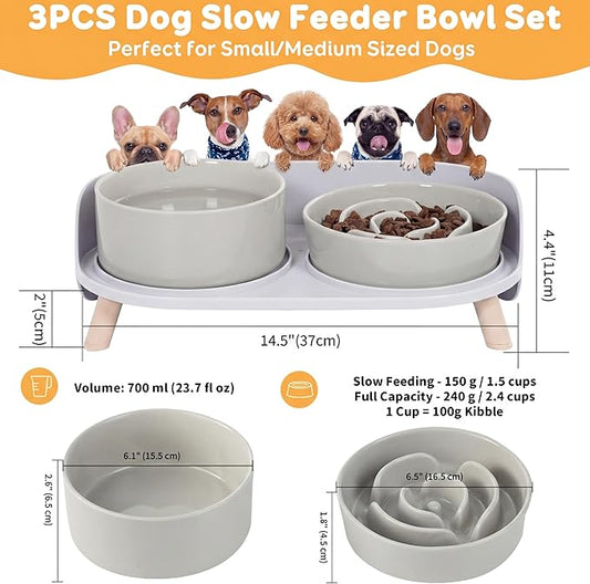 Elevated Slow Feeder Dog Bowls - Ceramic Food and Water Bowl Set with Stand - Raised Pet Dishes for Small and Medium Sized Dogs