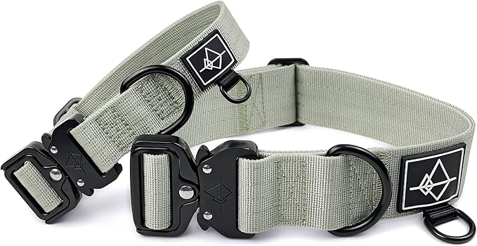 Made to ROAM Premium Dog Collar - Adjustable Heavy Duty Nylon Collar with Quick-Release Metal Buckle (Eucalyptic Glow, Classic Size 5)