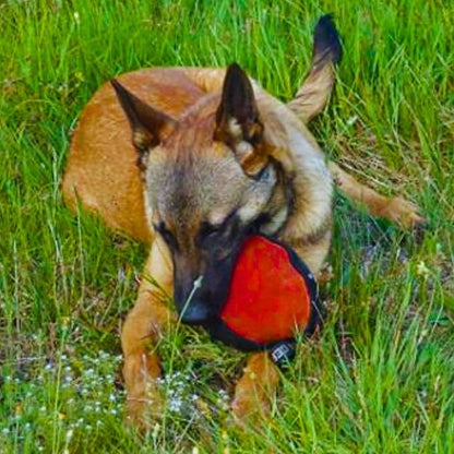Dingo Gear Dog Tug Toy for Strong Dog, Bite Training, IGP, Fun, French Linen, Big Ball red S02781