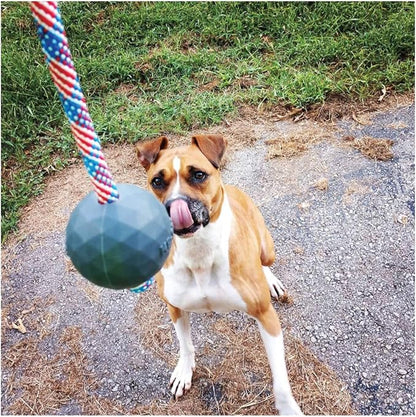 K9 Ops Dog Ball on a Rope Moki Tug Toy - Solid Rubber Fetch Training Reward - Large Dogs Tugs Durable Aggressive Chewers (Envy Green, MD/LG)