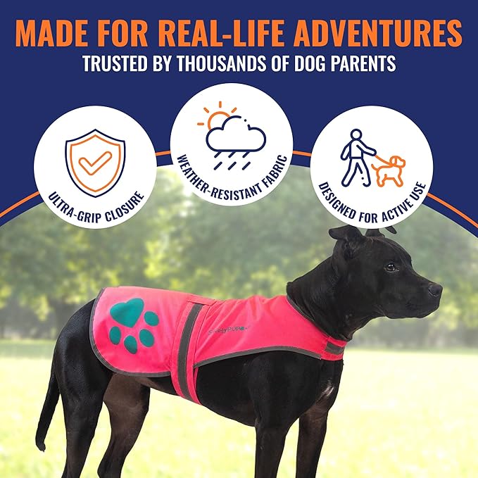 SafetyPUP XD Dog Reflective Vest – Hi-Vis Fluorescent Visibility That Helps to Safeguard Your Pet On/Off Leash in Urban & Rural Areas (Pink, Large)