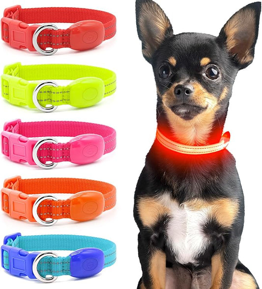 Light Up Dog Collar - Rechargeable LED Pet Collar for Puppies & Cats, Glowing Safety Dog Lights for Night Walking (Orange, XS)