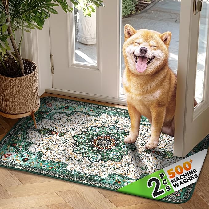 Hompet 2 Pack Super Absorbent Dog Door Mat for Muddy Paws, Washable Pee Pads for Dogs, Reusable Puppy Training Pads, Quick Dry Non-Slip Pet Entryway Rug, Leak-Proof Potty Pad for Indoor Floors 24x35