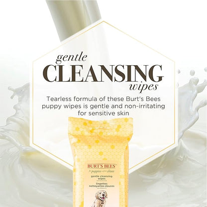 Burt's Bees for Pets Gentle Cleansing Puppy Wipes with Buttermilk, 98% Natural Origin Formulas, Hypoallergenic Dog Cleaning Wipes for Paws and Butt, 100 Count - 6 Pack
