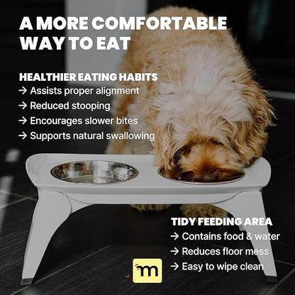MalsiPree Elevated Dog Bowls for Small Dogs and Cats - 6.5" Raised Feeding Station with Spill-Proof Tray - Foldable Dog Bowl Stand with 2 Stainless Steel Bowls - Modern Scandinavian Pet Feeder, White