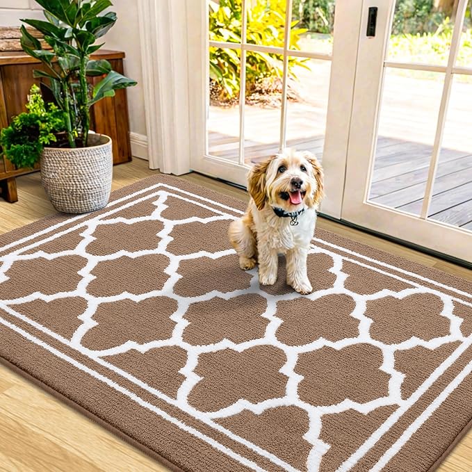 Buganda Indoor Door Mat, Dirt-Resistant and Absorbent Doormat, Anti-Slip, Low Profile Floor Mats for Inside Entryway, Front, and Back Door Entrance (48x32 Inches, Brown)