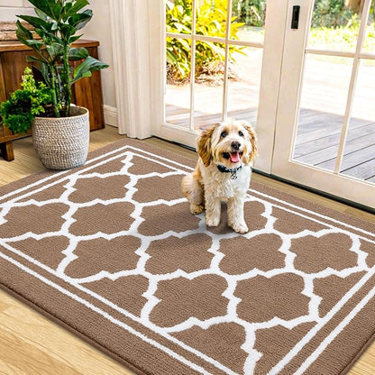 Buganda Indoor Door Mat, Dirt-Resistant and Absorbent Doormat, Anti-Slip, Low Profile Floor Mats for Inside Entryway, Front, and Back Door Entrance (48x32 Inches, Brown)