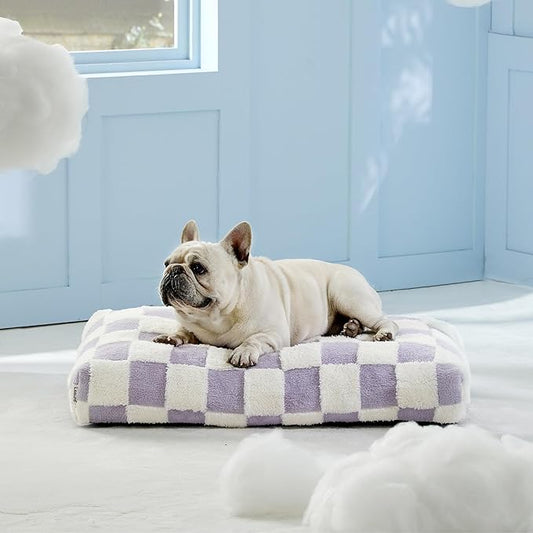 LE SURE Dog Beds Medium Size-Thick Shredded Chopped Foam Pet Bed as Gift for Indoor with Removable Cover, Cute Modern Fuzzy Plush & Anti Slip Bottom, Purple