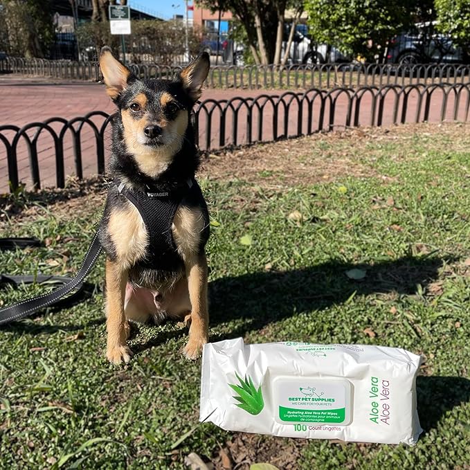 Best Pet Supplies 8" x 9" Large Unscented Dog Wipes - Cleaning and Deodorizing for Paws and Coat - Gentle Formula with Aloe Vera Vitamin E for Puppies and Cats - 400 Count