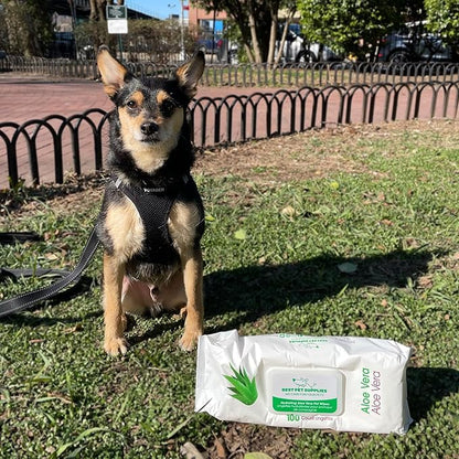 Best Pet Supplies 8" x 9" Large Unscented Dog Wipes - Cleaning and Deodorizing for Paws and Coat - Gentle Formula with Aloe Vera Vitamin E for Puppies and Cats - 400 Count