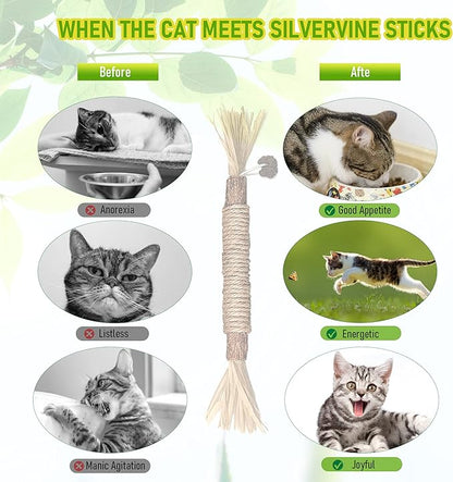 GBSYU 1 Pack Silvervine Cat Toy, Silvervines Sticks Cat Toys for Indoor Cats, Cat & Kitten Chew Toys for Aggressive Chewers, Cat Dental Toy for Kitten Teeth Cleaning, Matatabi Silvervine for Cats