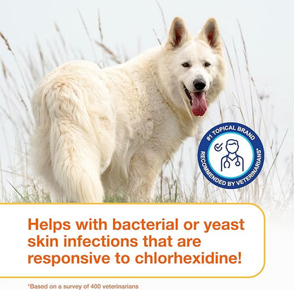 Douxo S3 Pyo Mousse, Contains 3% Chlorhexidine & 0.5% Ophytrium, Antiseptic & Hydrating, for Bacterial or Yeast Skin Infections, for Dogs, 5 fl. oz. (150mL)