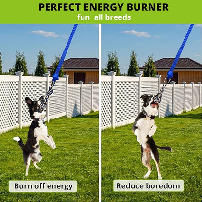 Dog Hanging Bungee Tug Toy: Interactive Tether Tug-of-War for Pitbull Small to Large Dogs to Exercise and Training Equipment - Outdoor Tree Tugger Dog Rope Toy with 2 Chew Rope Toys - Blue